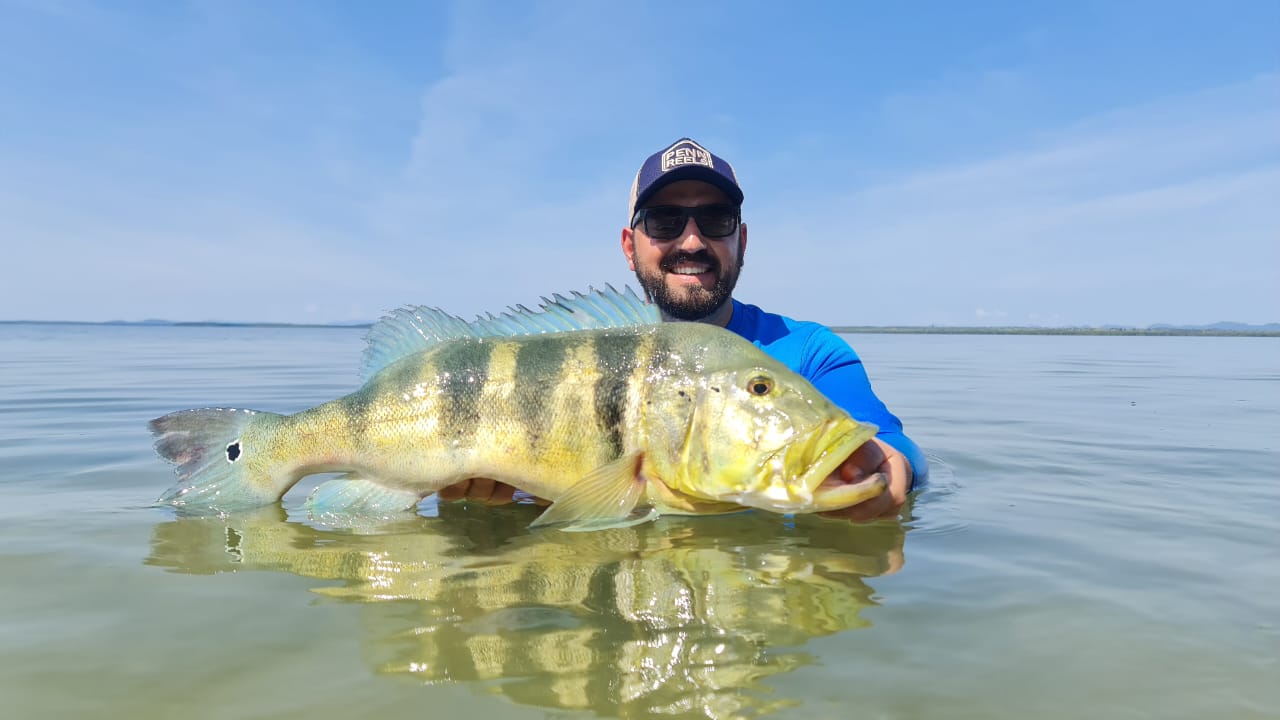 Brasileiro Abs Masc Tucunaré Azul BGFA Recordes